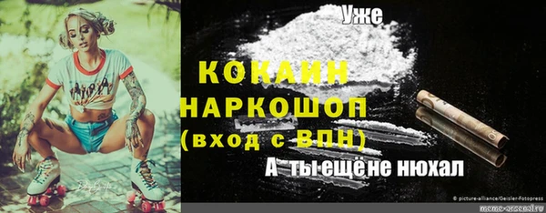 сатива Белокуриха