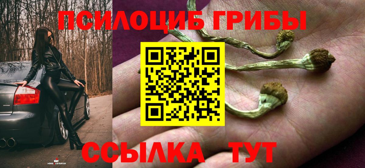 Псилоцибиновые грибы прущие грибы  Вход с VPN  где продают наркотики  Городец 