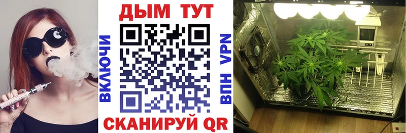 Бошки Шишки MAZAR  OMG зеркало  Городец 